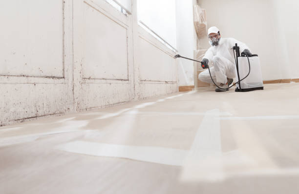 24/7 Emergency Mold Remediation experts in Balm, FL